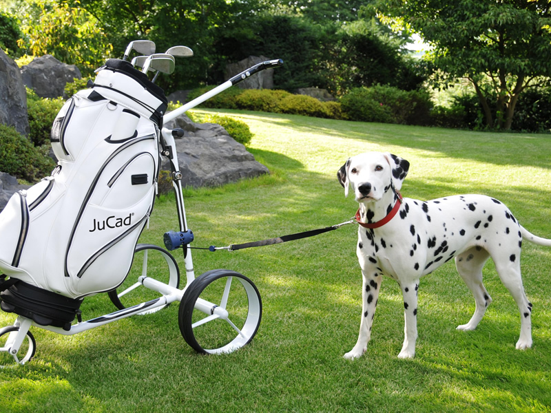 Pin High Golftravel - hond en golf 